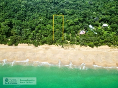 Live by where The Survivor TV show is being filmed, Panama - image 7