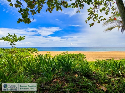 Live by where The Survivor TV show is being filmed, Panama - image 5