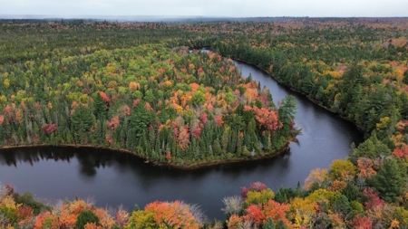 Tahquamenon Falls Riverboat Tours - image 6