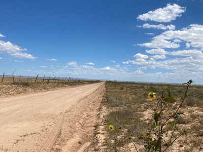 80 acres of Torrance County, New Mexico Grazing Land - image 6