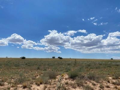 80 acres of Torrance County, New Mexico Grazing Land - image 2