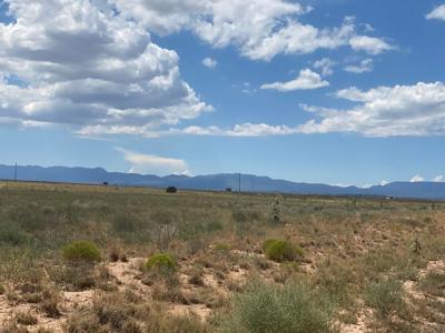 80 acres of Torrance County, New Mexico Grazing Land - image 1