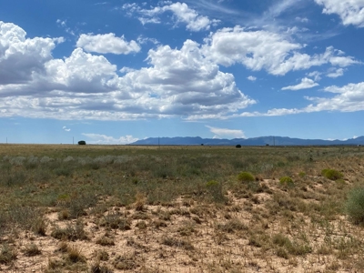 80 acres of Torrance County, New Mexico Grazing Land - image 3