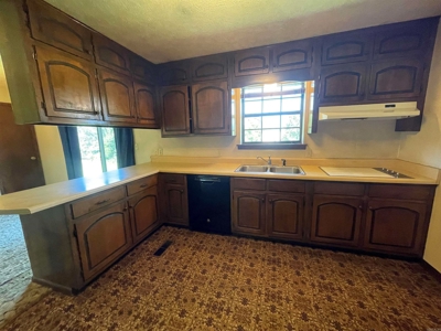 Ash Flat Arkansas Country Home For Sale - image 12