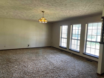 Ash Flat Arkansas Country Home For Sale - image 8
