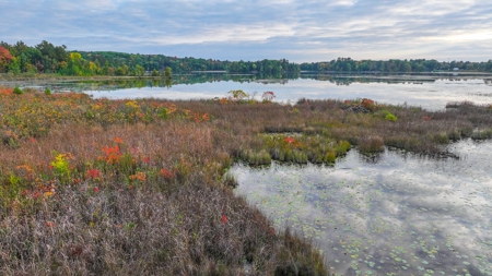 Recreational Hunting Land on Hatch Lake in Iola - Hatch Lake - image 32