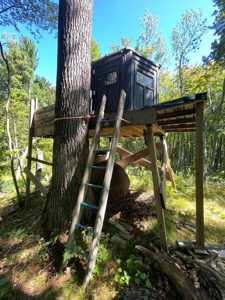 Recreational Hunting Land on Hatch Lake in Iola - Hatch Lake - image 3