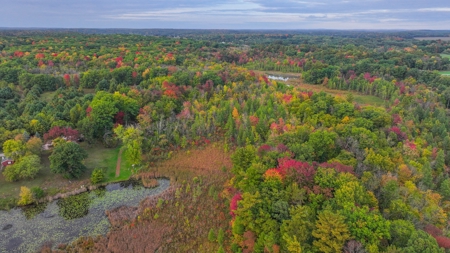 Recreational Hunting Land on Hatch Lake in Iola - Hatch Lake - image 45