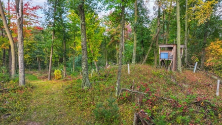 Recreational Hunting Land on Hatch Lake in Iola - Hatch Lake - image 35