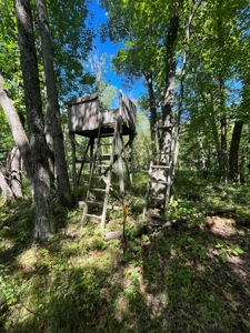 Recreational Hunting Land on Hatch Lake in Iola - Hatch Lake - image 1