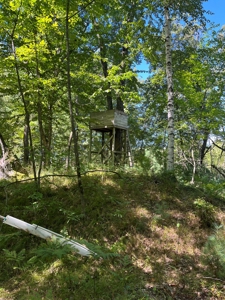 Recreational Hunting Land on Hatch Lake in Iola - Hatch Lake - image 9