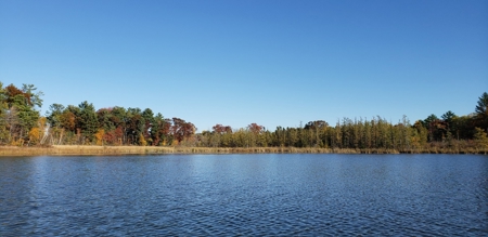 Recreational Hunting Land on Hatch Lake in Iola - Hatch Lake - image 14