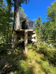 Recreational Hunting Land on Hatch Lake in Iola - Hatch Lake - image 2