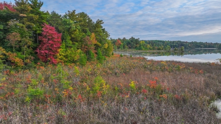 Recreational Hunting Land on Hatch Lake in Iola - Hatch Lake - image 29