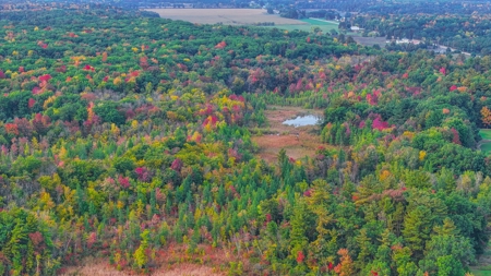 Recreational Hunting Land on Hatch Lake in Iola - Hatch Lake - image 41