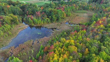Recreational Hunting Land on Hatch Lake in Iola - Hatch Lake - image 49