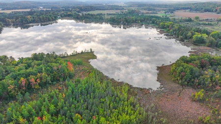Recreational Hunting Land on Hatch Lake in Iola - Hatch Lake - image 43