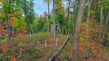 Recreational Hunting Land on Hatch Lake in Iola - Hatch Lake - image 34