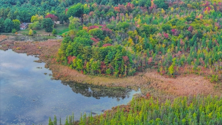 Recreational Hunting Land on Hatch Lake in Iola - Hatch Lake - image 40