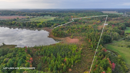 Recreational Hunting Land on Hatch Lake in Iola - Hatch Lake - image 39