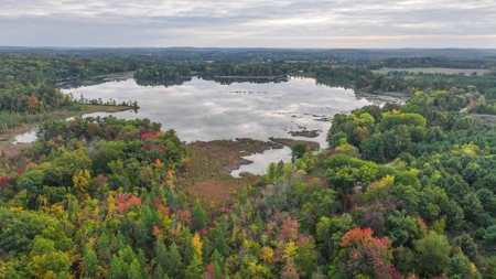 Recreational Hunting Land on Hatch Lake in Iola - Hatch Lake - image 46