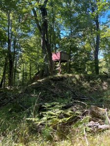 Recreational Hunting Land on Hatch Lake in Iola - Hatch Lake - image 6