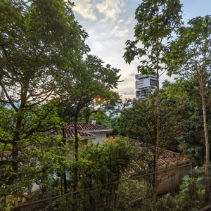 Embrace the Beauty of Green Views - image 8