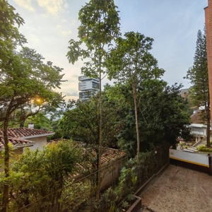 Embrace the Beauty of Green Views - image 10