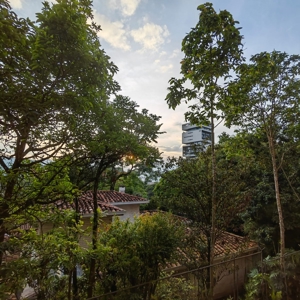 Embrace the Beauty of Green Views - image 9