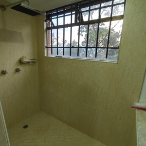 Apartment with Extensive Renovation Potential - image 3