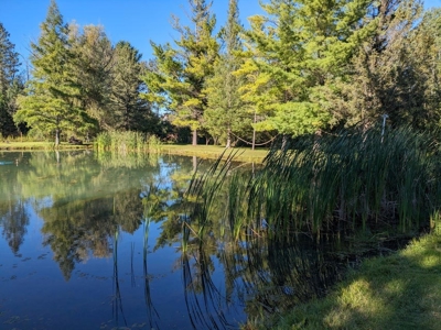 Country Home 1.67 acres with Pond for Sale Atlanta MI - image 1