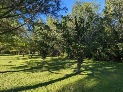 Country Home 1.67 acres with Pond for Sale Atlanta MI - image 9