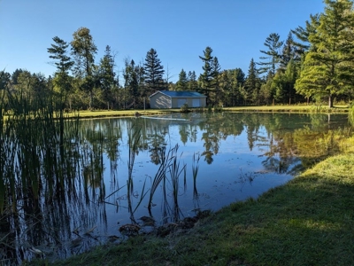 Country Home 1.67 acres with Pond for Sale Atlanta MI - image 4