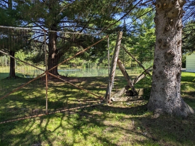 Country Home 1.67 acres with Pond for Sale Atlanta MI - image 17