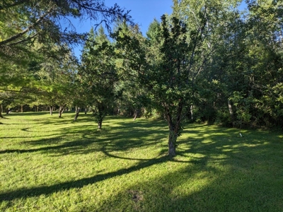 Country Home 1.67 acres with Pond for Sale Atlanta MI - image 10