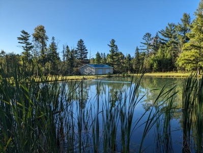 Country Home 1.67 acres with Pond for Sale Atlanta MI - image 47