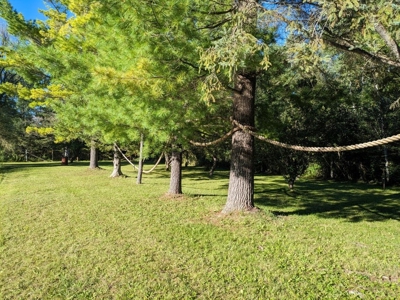 Country Home 1.67 acres with Pond for Sale Atlanta MI - image 7