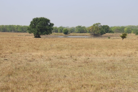 Marion County, Kansas Land For Sale - image 31