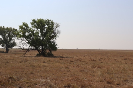 Marion County, Kansas Land For Sale - image 37