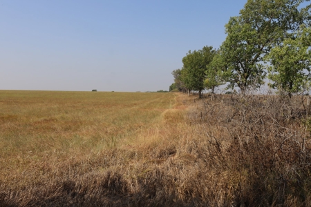 Marion County, Kansas Land For Sale - image 3