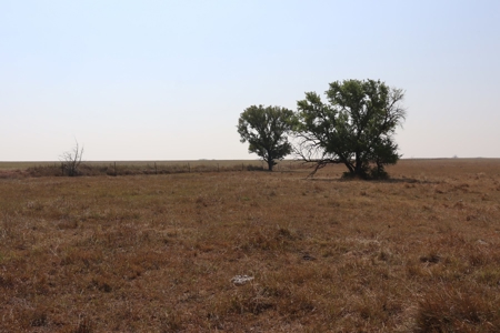 Marion County, Kansas Land For Sale - image 36