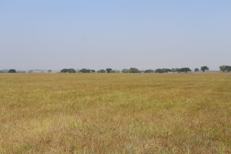 Marion County, Kansas Land For Sale - image 16