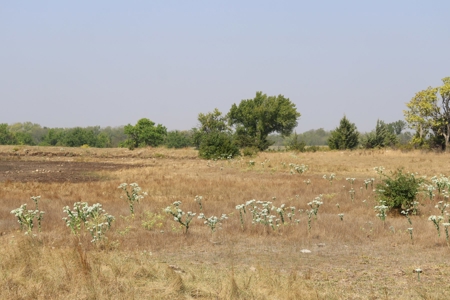 Marion County, Kansas Land For Sale - image 42