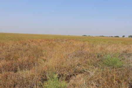 Marion County, Kansas Land For Sale - image 11