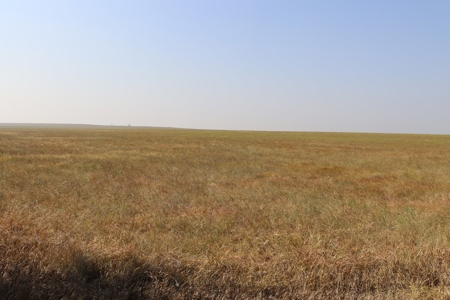 Marion County, Kansas Land For Sale - image 6