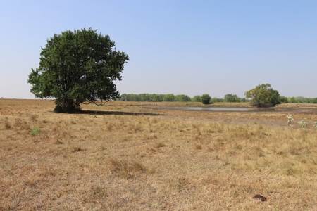 Marion County, Kansas Land For Sale - image 43