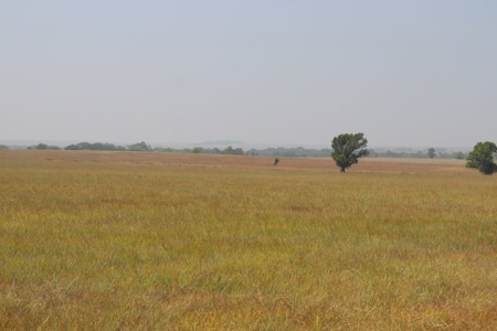 Marion County, Kansas Land For Sale - image 22