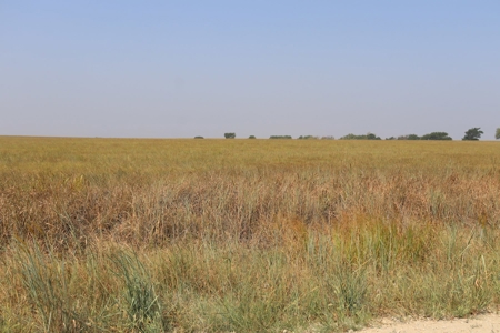 Marion County, Kansas Land For Sale - image 10