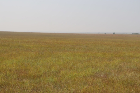 Marion County, Kansas Land For Sale - image 24