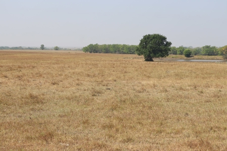 Marion County, Kansas Land For Sale - image 33